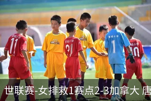 世联赛-女排救1赛点2-3加拿大 唐欣轰22分难阻3连败