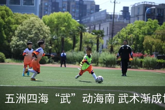 五洲四海“武”动海南 武术渐成世界语言