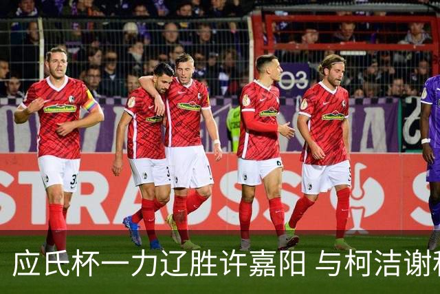 应氏杯一力辽胜许嘉阳 与柯洁谢科许皓鋐进4强