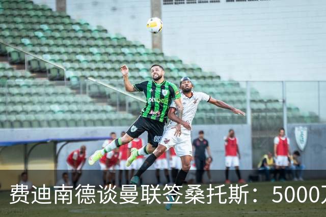 费迪南德谈曼联签桑托斯：5000万镑签未来10年巴西国脚中场贵吗？